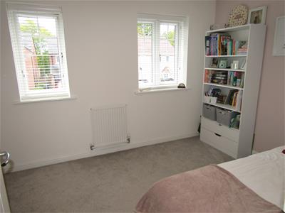 Picture 13